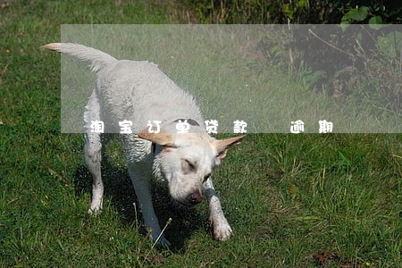 淘宝订单贷款 逾期